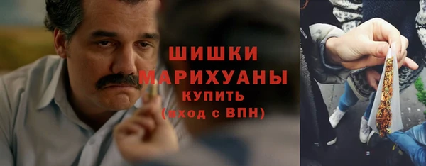 крисы Ладушкин