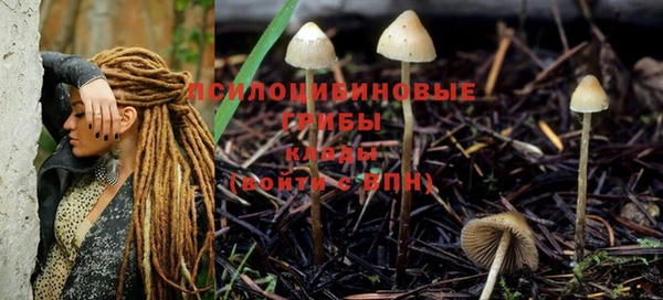 мет Липки