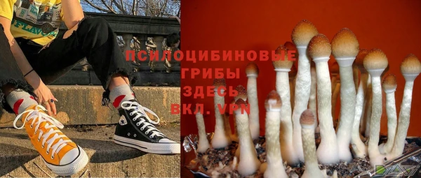 mdma Лагань